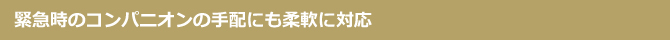 緊急時のコンパニオンの手配にも柔軟に対応